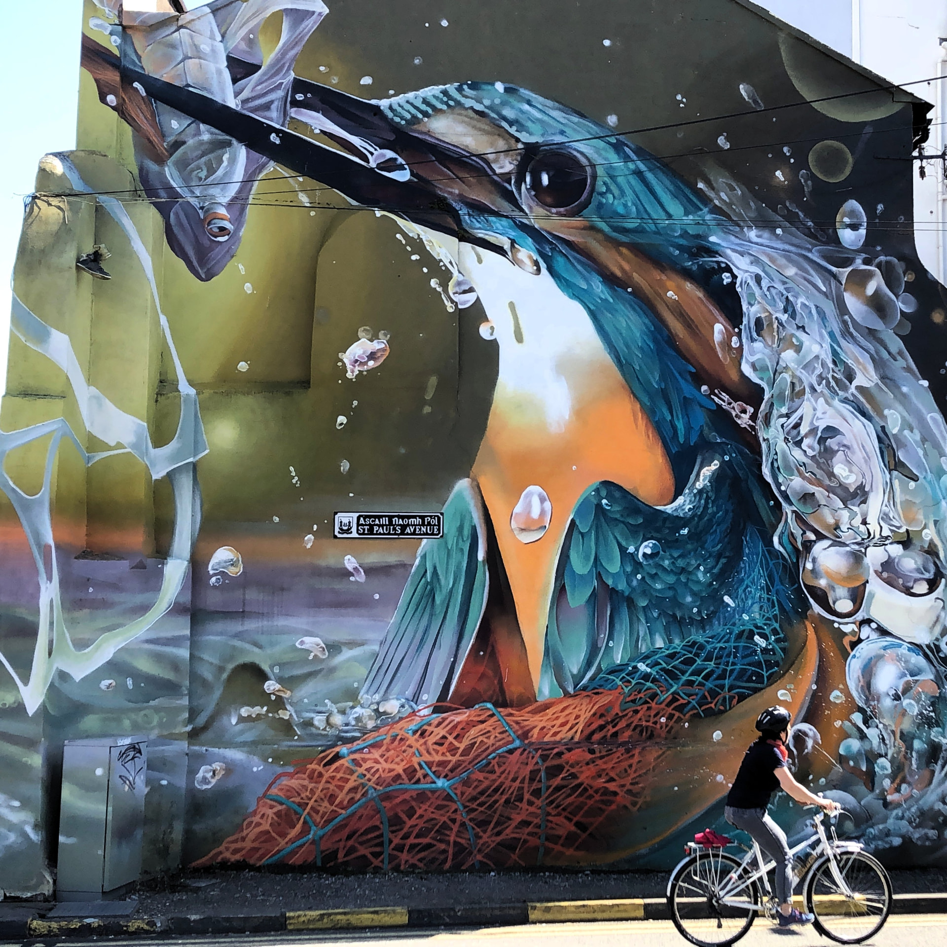 Cyclist passing a colourful kingfisher mural on a Cork City Cycle Tour